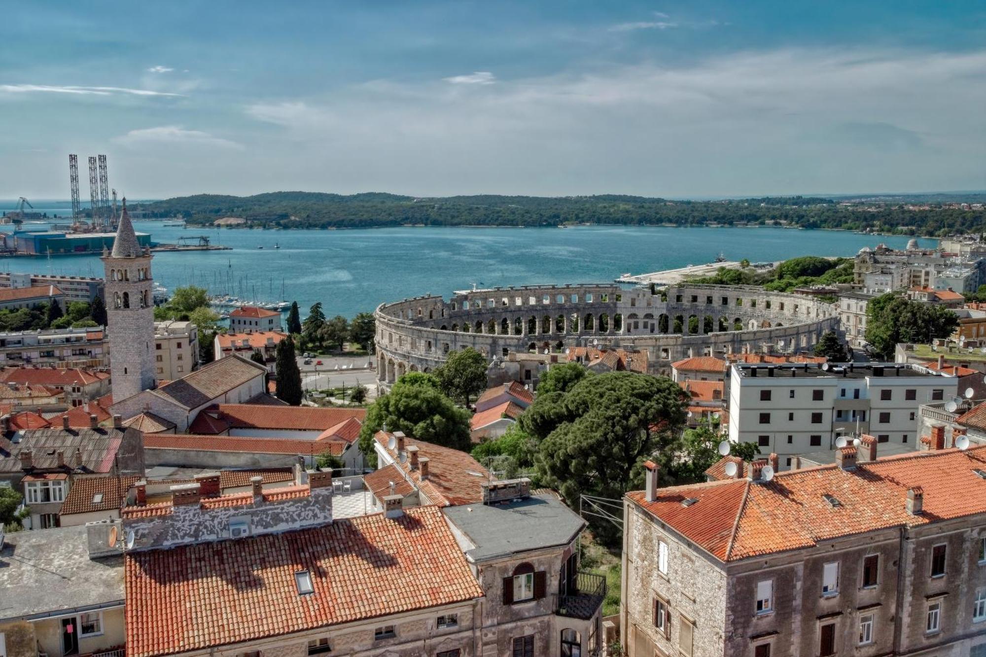Seagull * Pula